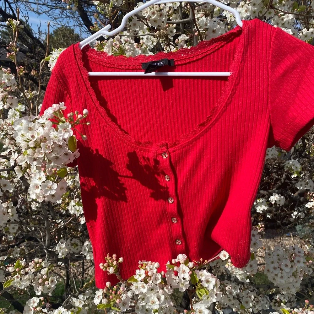 Red Ribbed Button-Up Blouse - Picture 3 of 7